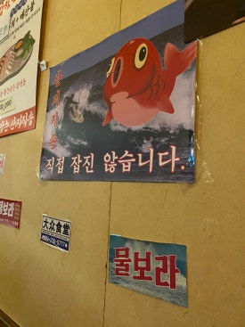물보라마켓 이미지