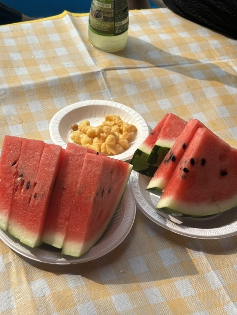돼지삼총사 이미지