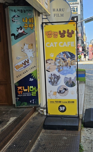 댕댕냥냥부천점 이미지