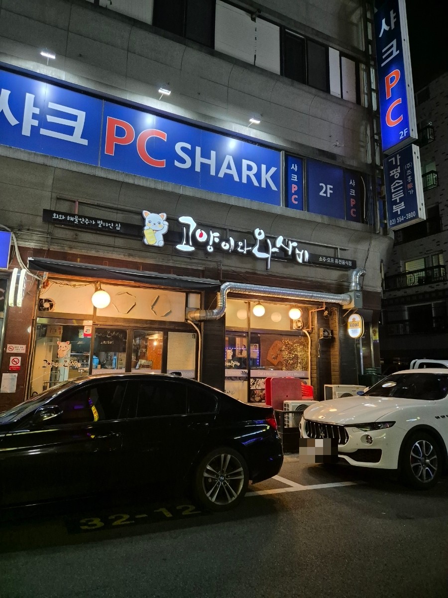 고양이와 와사비 이미지