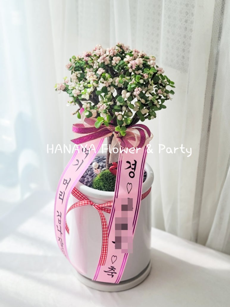 목화헤어샵 이미지