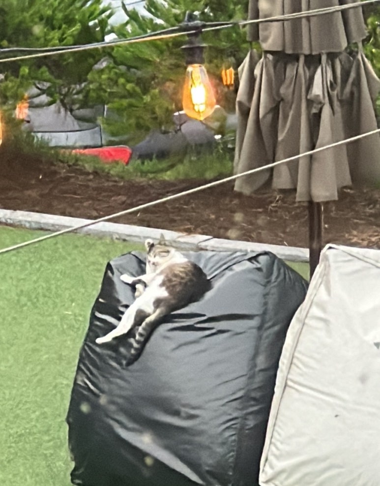 금성족발 이미지