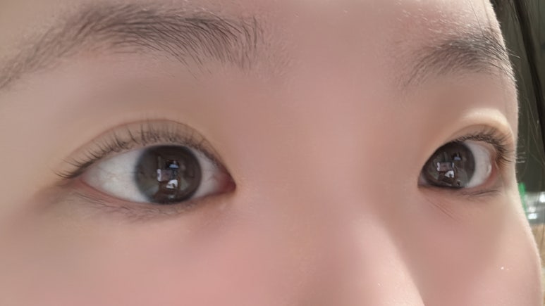 비비래쉬 이미지