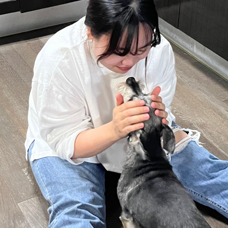 수민머리만들기 이미지