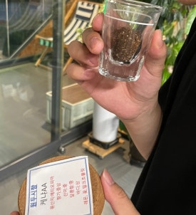 붐비노 이미지