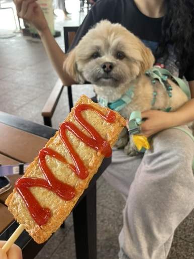 벼리채 이미지