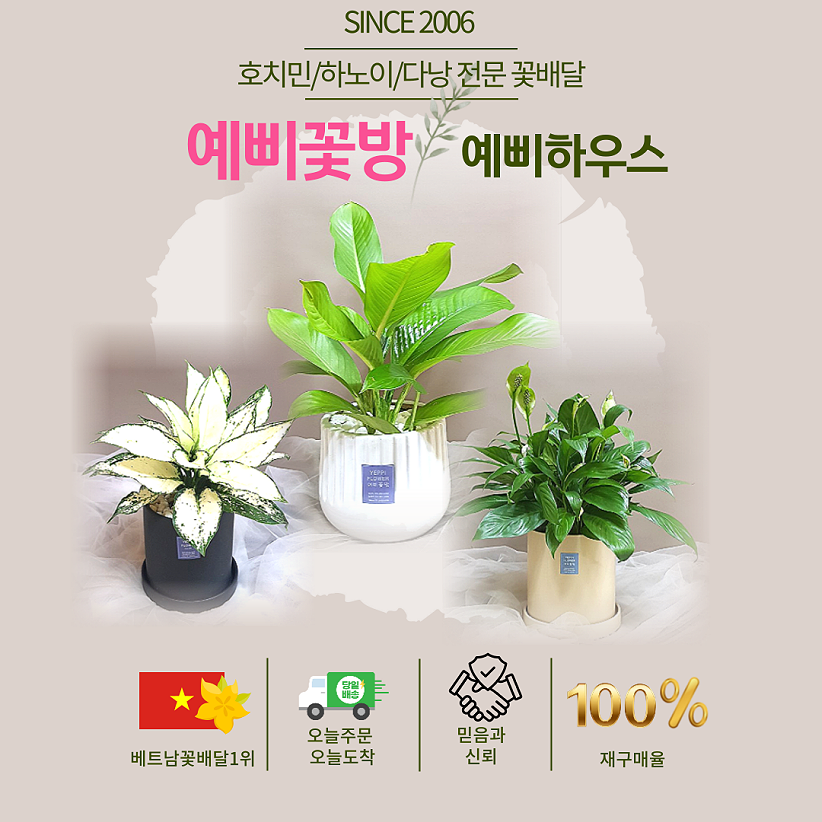 미소꽃방 이미지