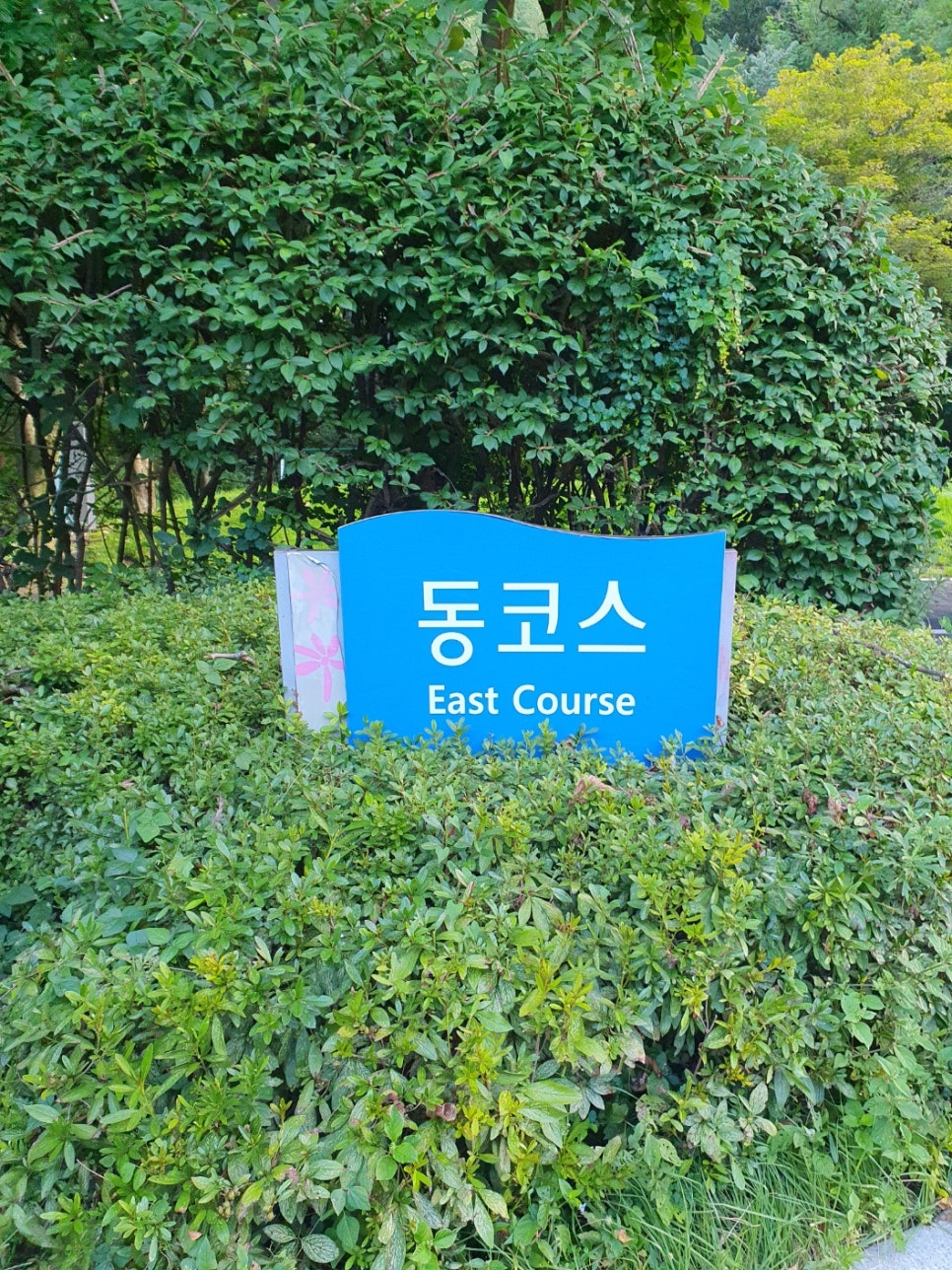 양지파인cc클럽하우스 이미지