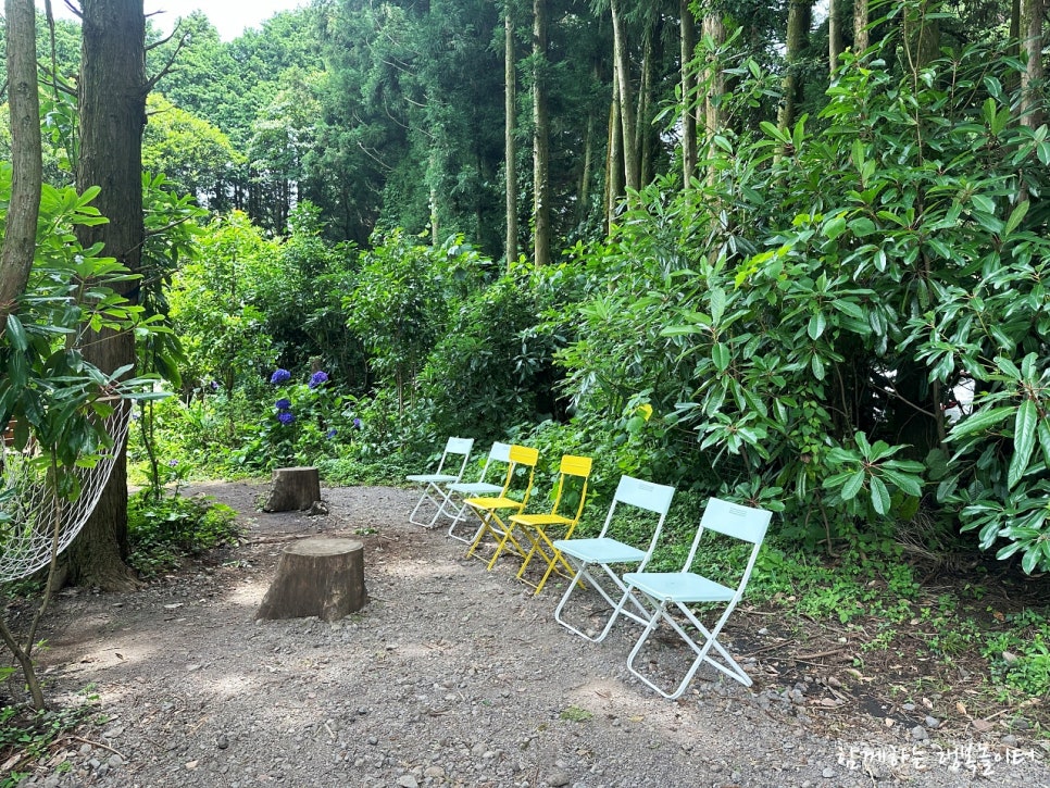Andol Oreum Secret Forest