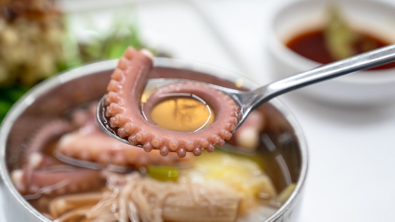 낙지천국 이미지