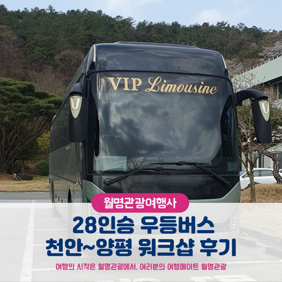 월명관광여행사 이미지