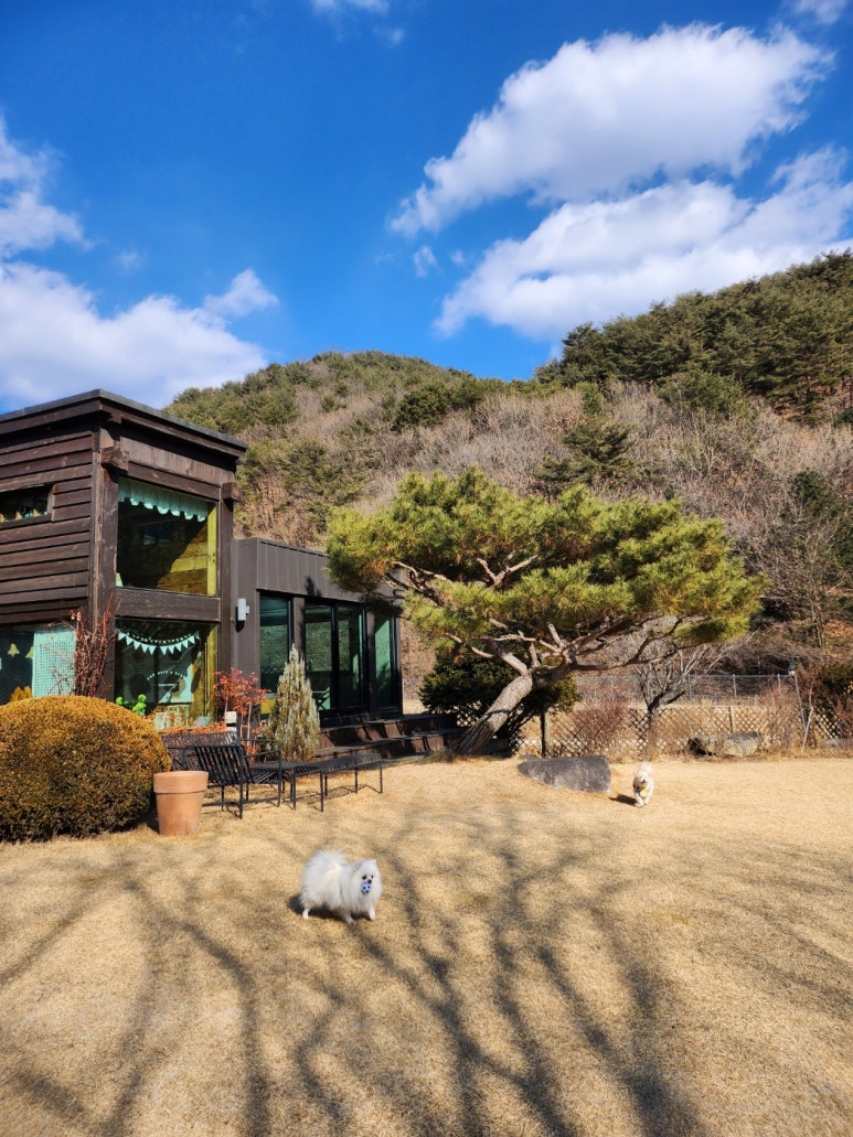 메종카누네 이미지