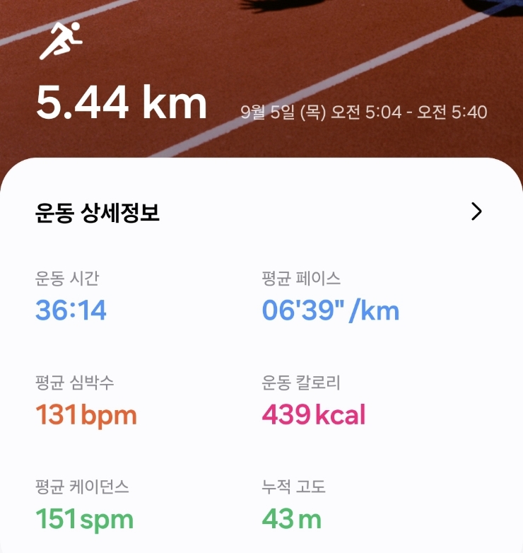 미라클 이미지
