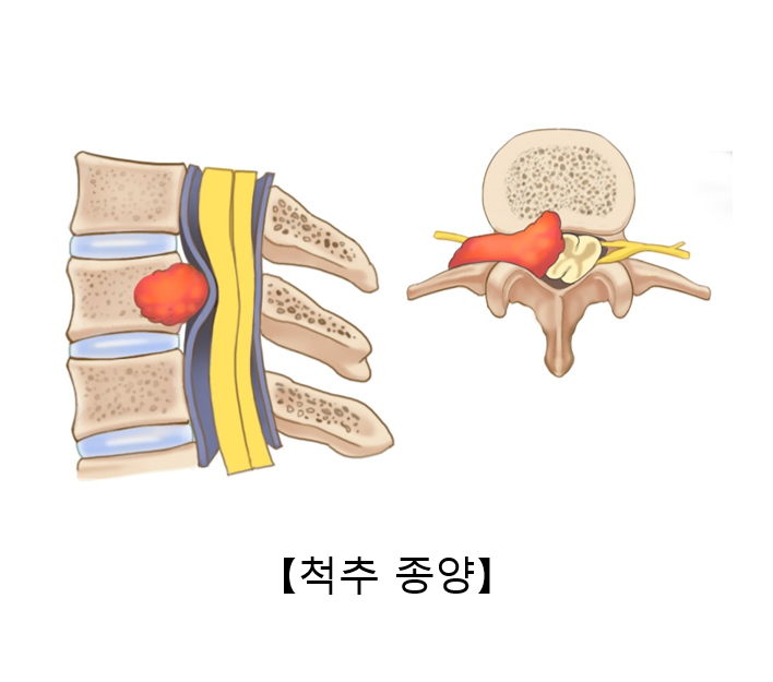 인모션재활트레이닝센터 이미지
