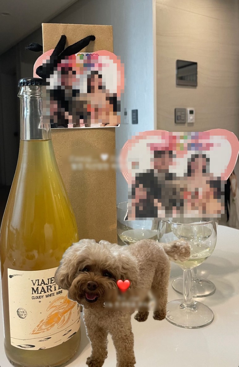 제주와인아울렛 이미지