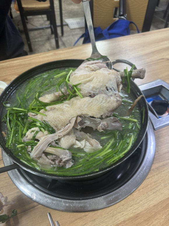 오가네 사진 5