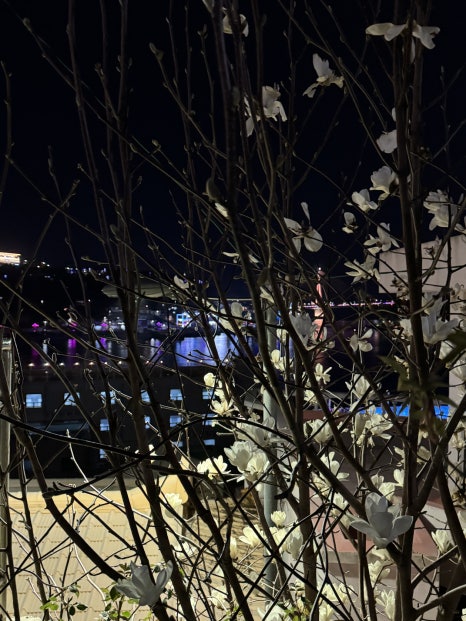 거울미로 이미지
