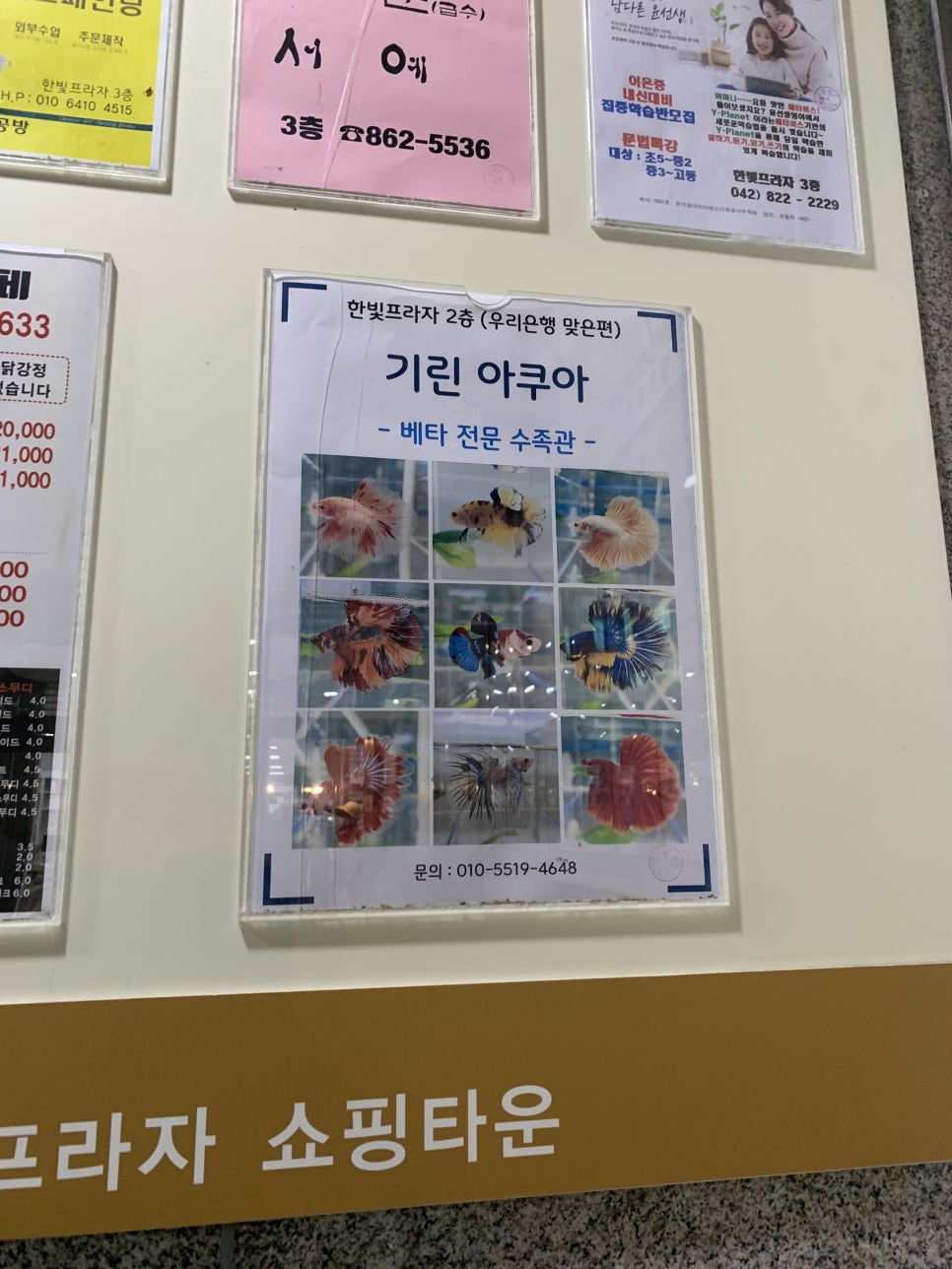 기린아쿠아 이미지