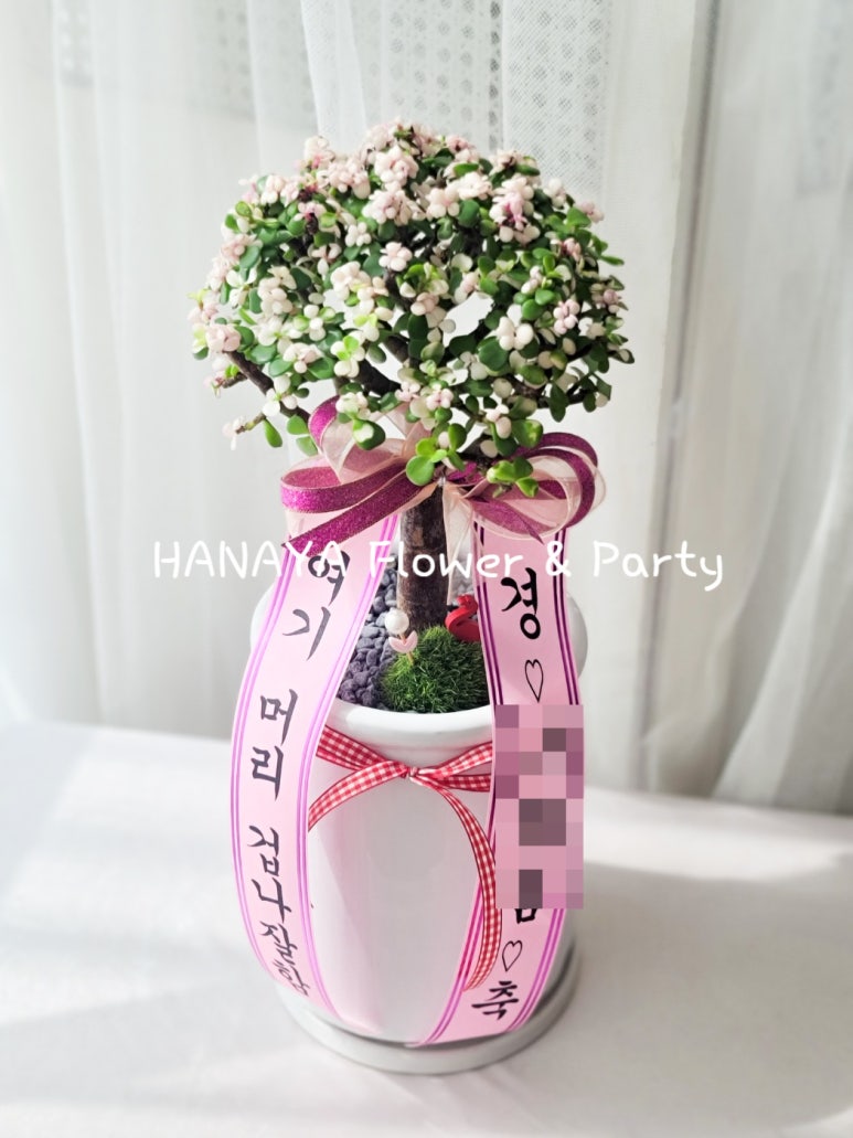 목화헤어샵 이미지