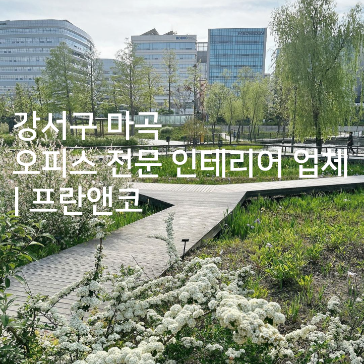 디자인프란 이미지