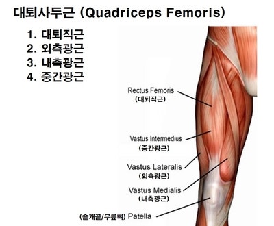리세핏 이미지