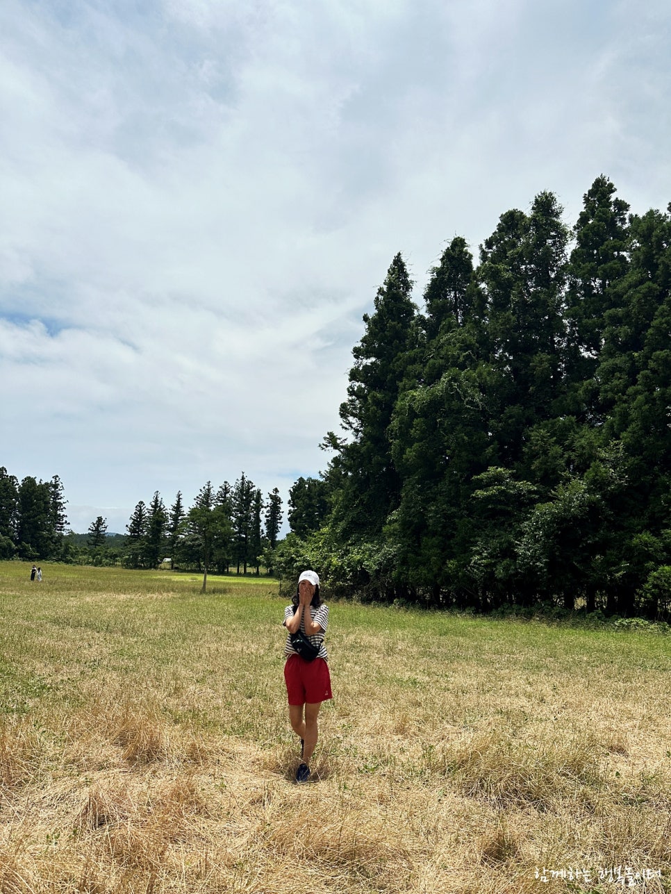 Andol Oreum Secret Forest