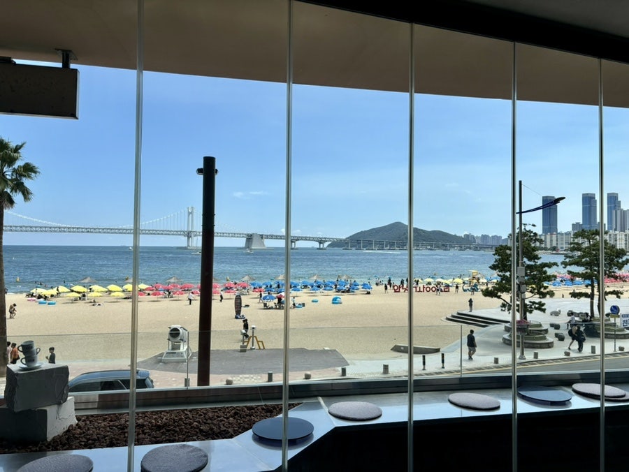 카페인베어 이미지