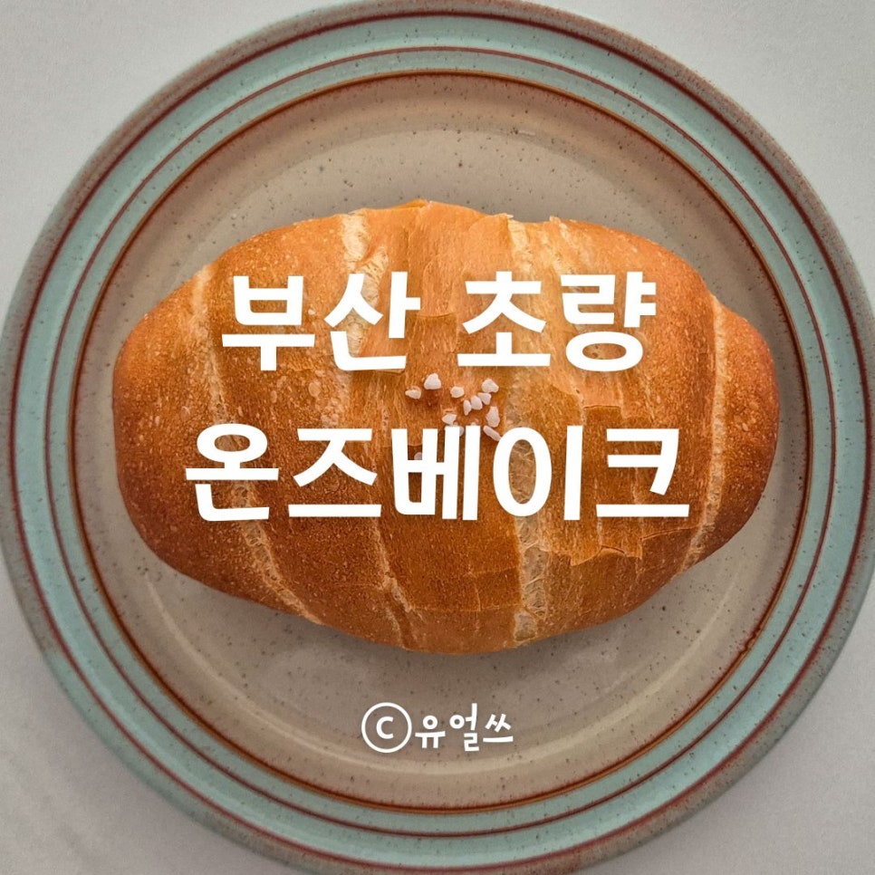 온즈베이크 이미지