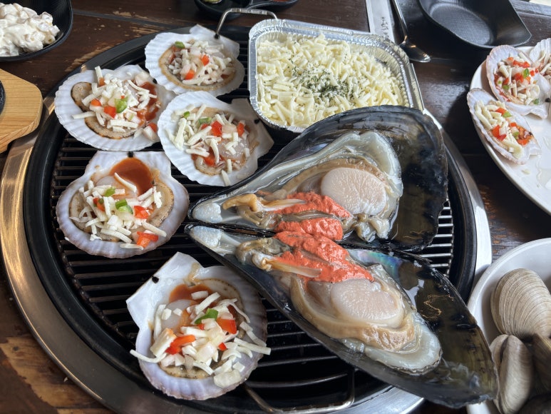 꼬니네회조개 이미지