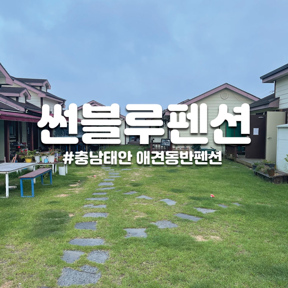 썬블루 이미지