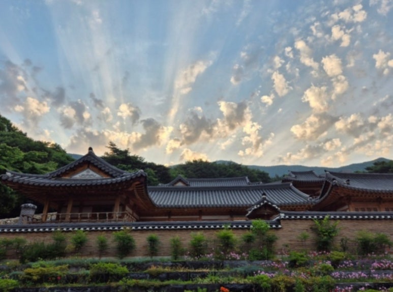 충남서점 이미지