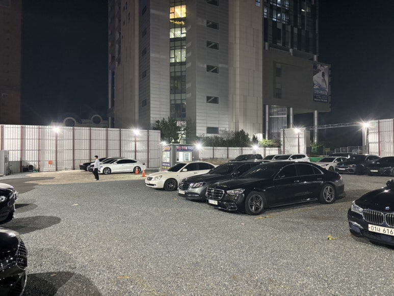 빨간산오징어 이미지