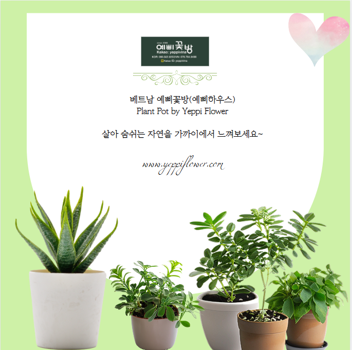 예삐꽃방 이미지