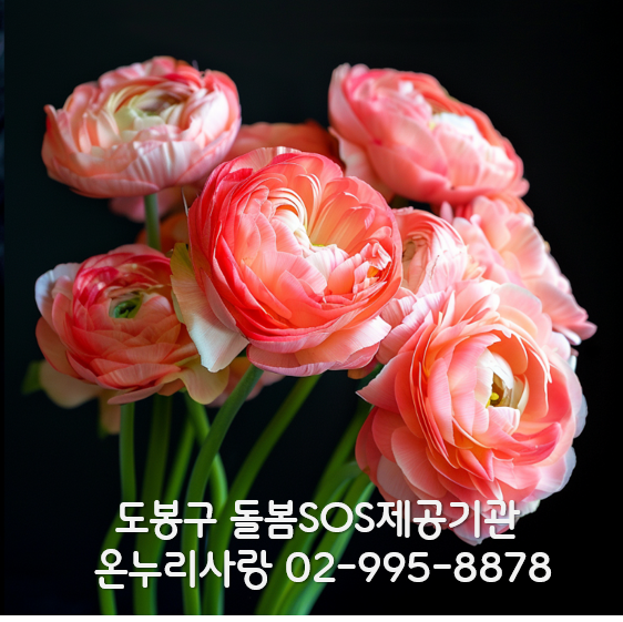 사랑돌봄재가복지센터.복지용구 이미지