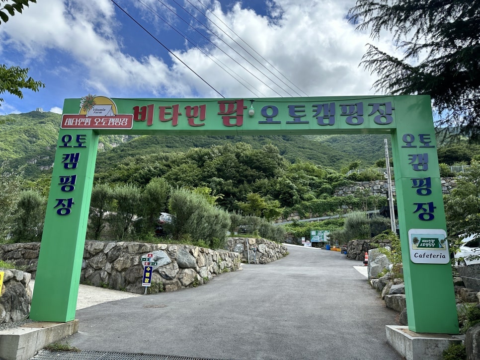 비타민팜 이미지