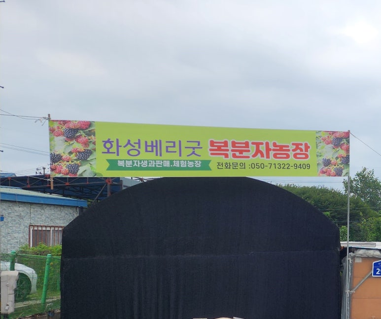 베리굿체험농장 이미지