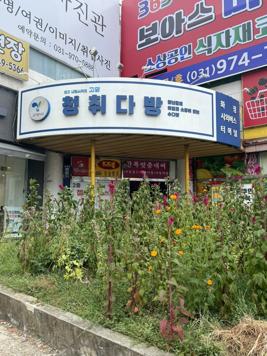 미연다방 이미지