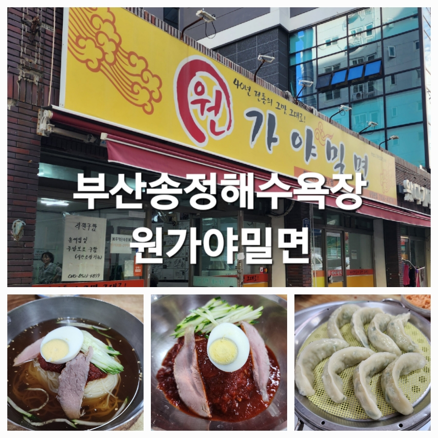 원가야밀면 이미지