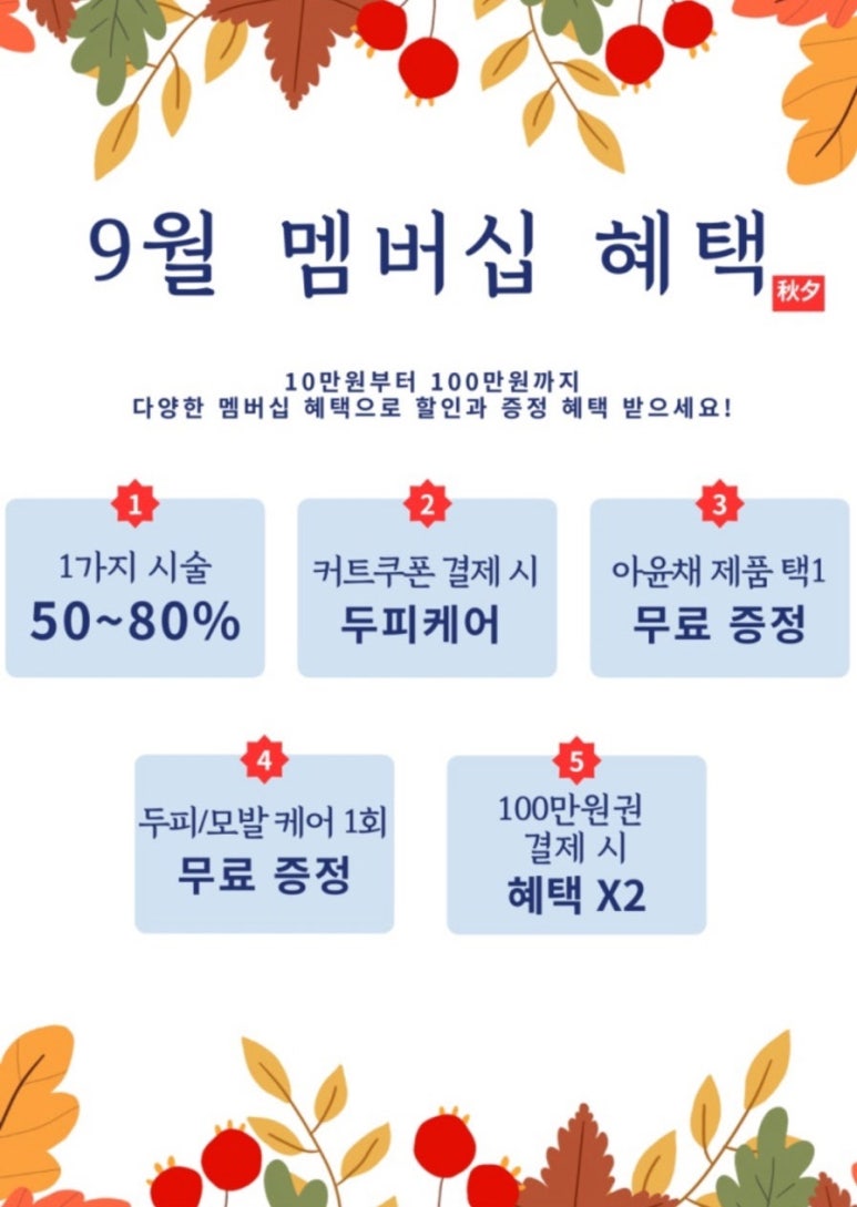 세마헤어 이미지