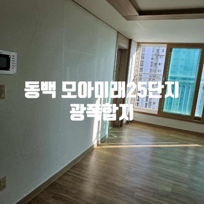 고데코 이미지
