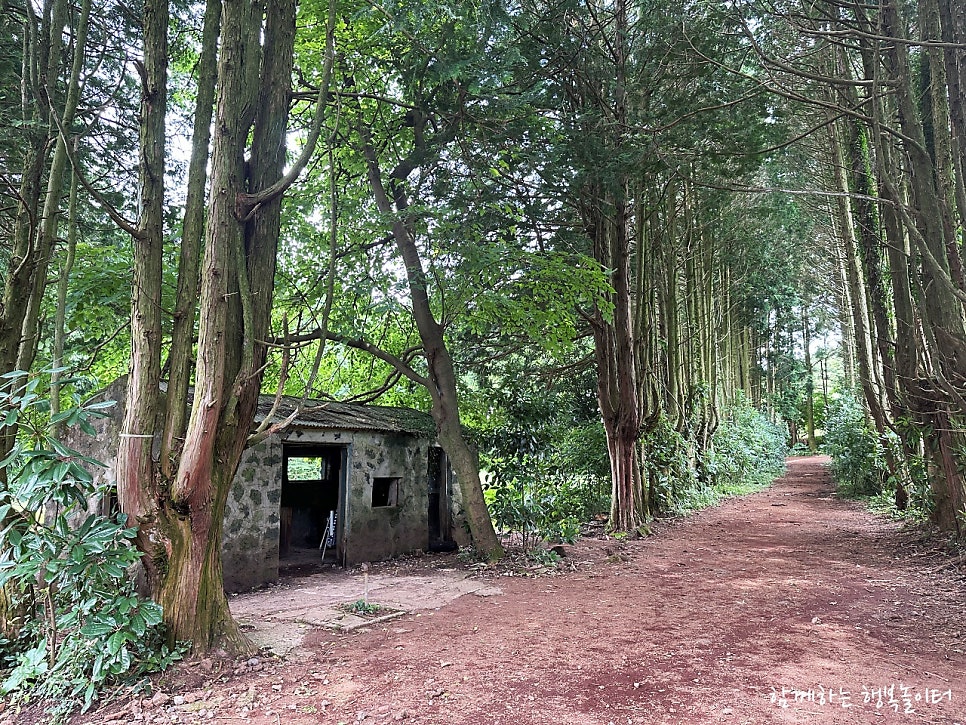 Andol Oreum Secret Forest