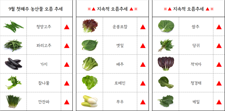부산유통 이미지