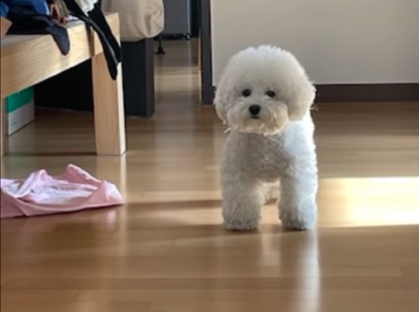 윤꼬 이미지