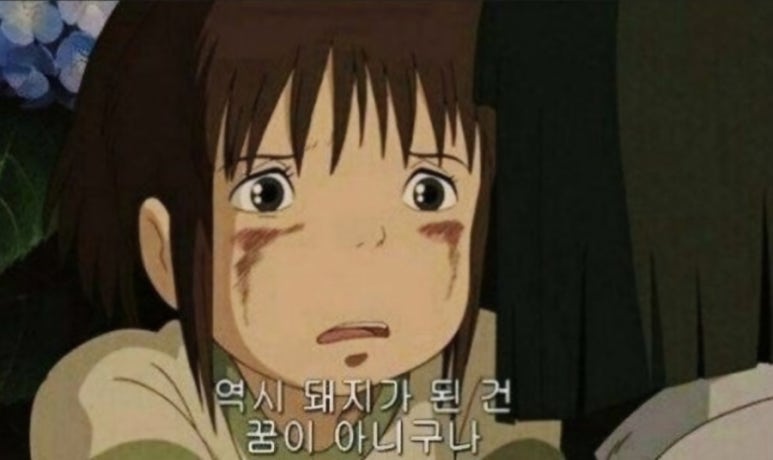 댄스로빅 이미지