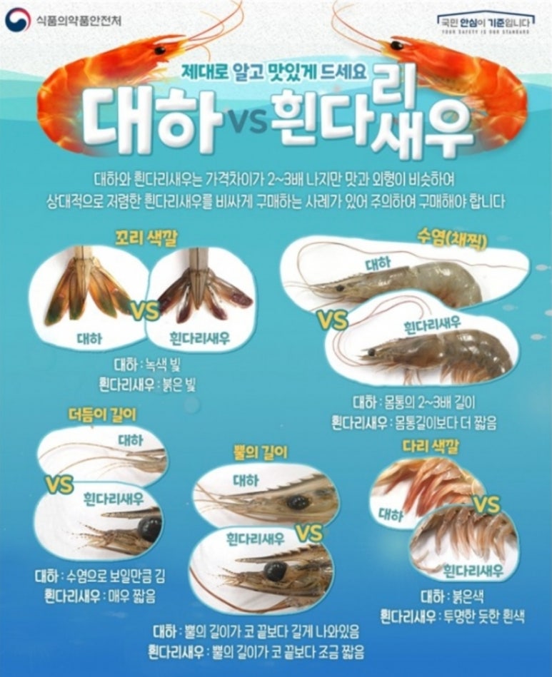 언니네카페 이미지