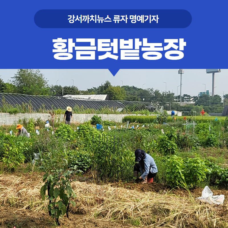 황금텃밭농장 이미지