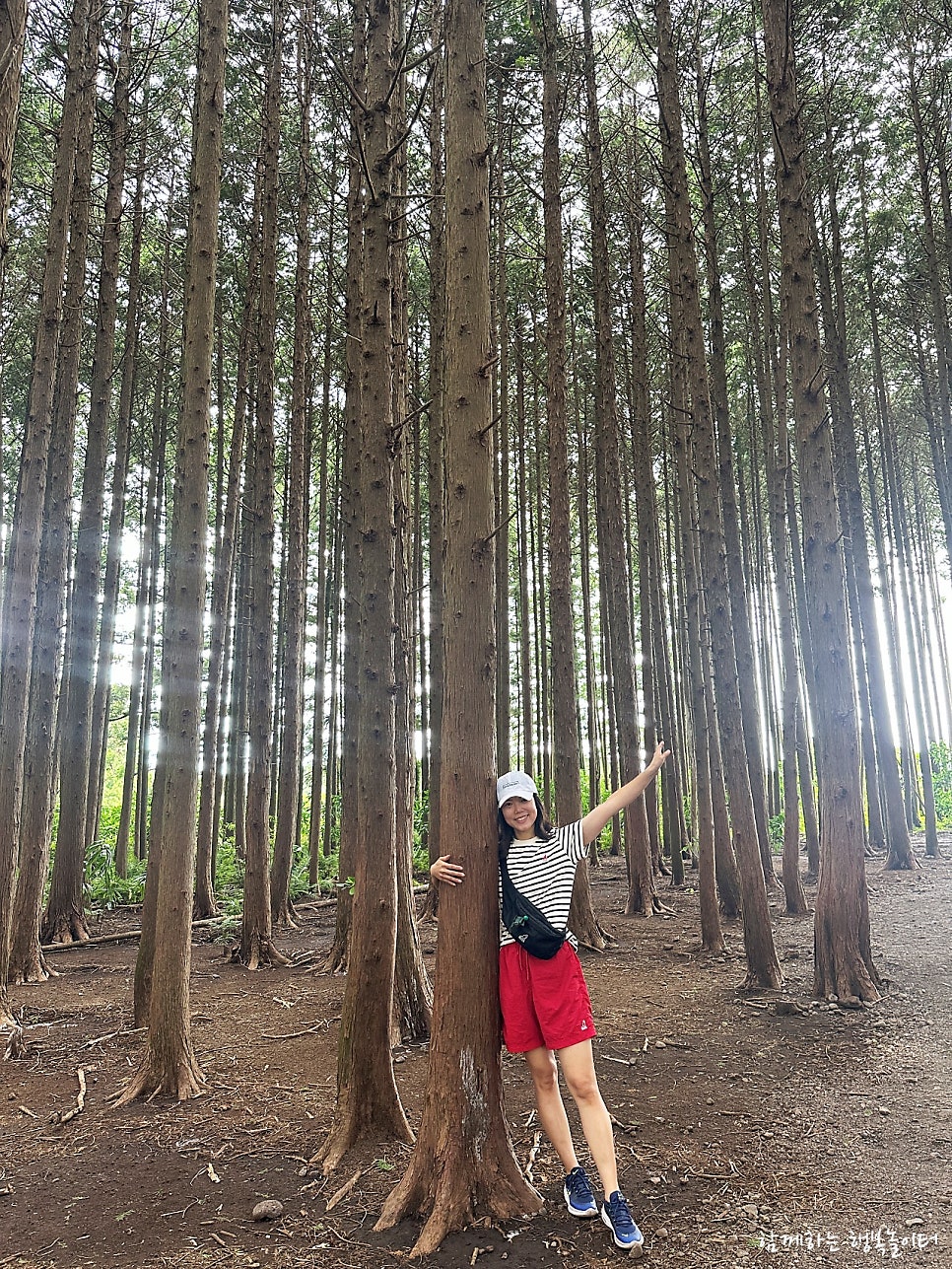 Andol Oreum Secret Forest