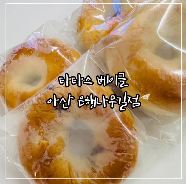 타타스베이글은행나무길점 이미지