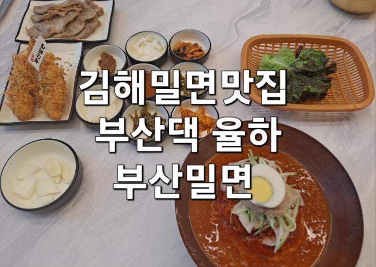 부산댁율하부산밀면 이미지