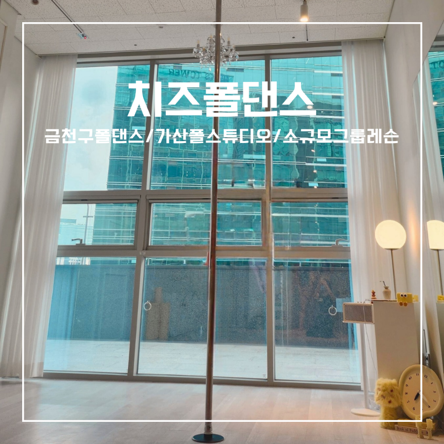 치즈폴댄스 이미지